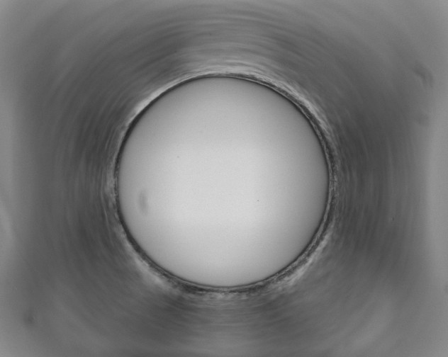 X0000111241521200907020948