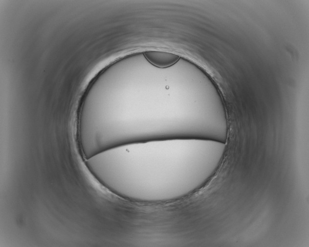 X0000111241523200907020948