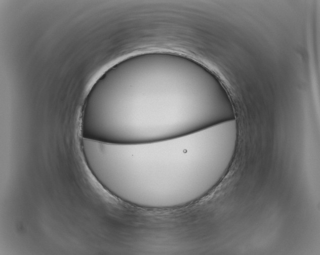 X0000111241524200907020948