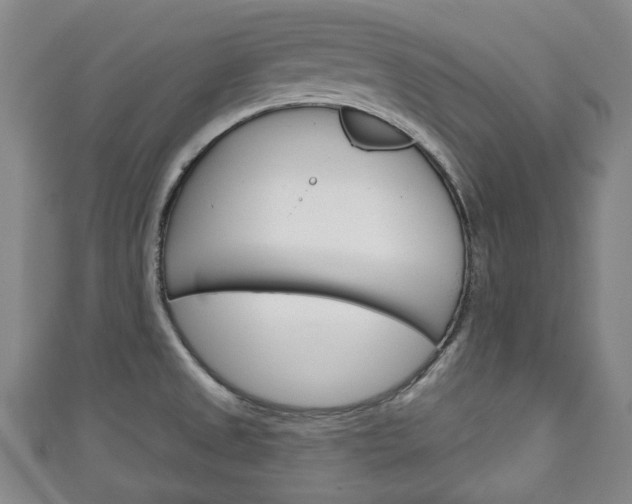 X0000111241525200907020948