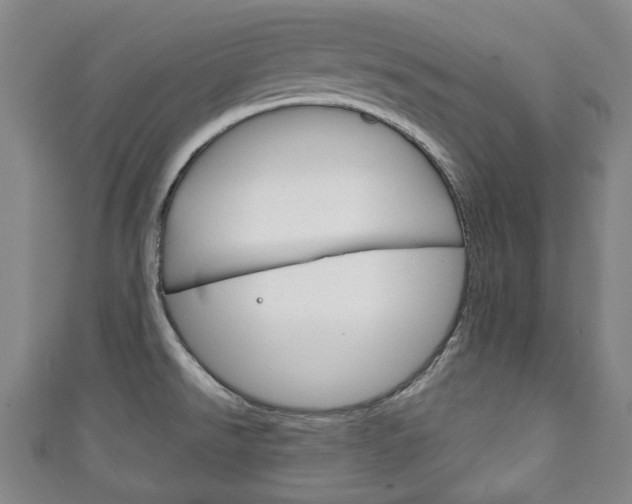 X0000111241526200907020948