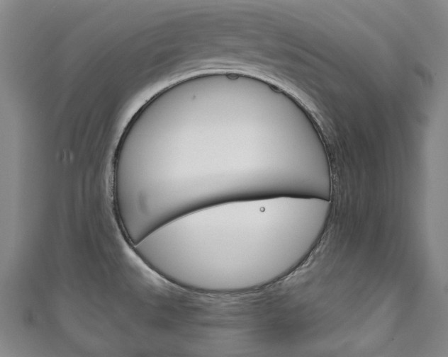X0000111241527200907020948