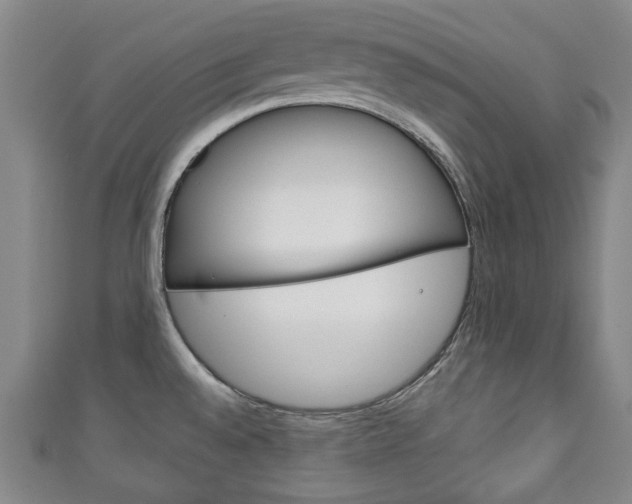 X0000111241528200907020948