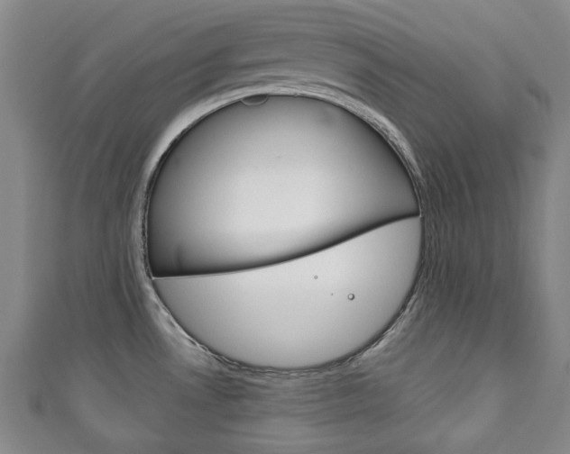 X0000111241530200907020948