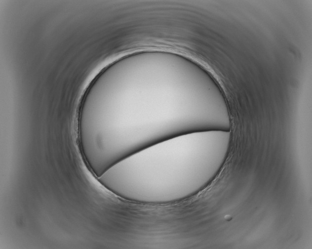 X0000111241531200907020948