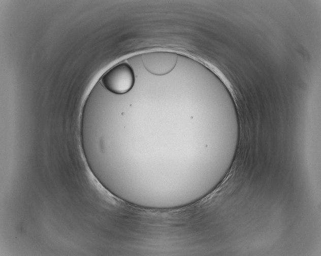 X0000111241532200907020948