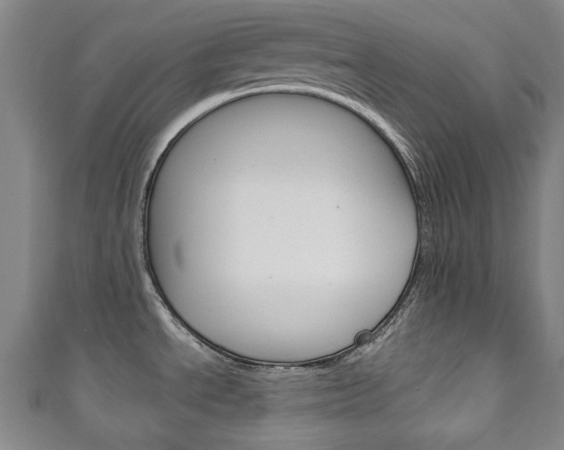 X0000111241534200907020948