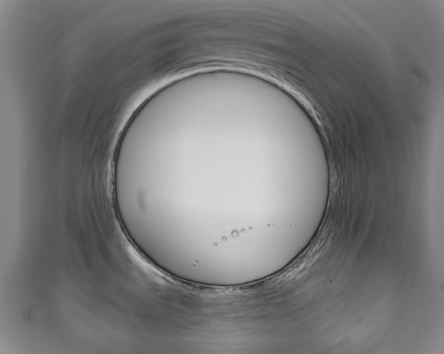 X0000111241535200907020948