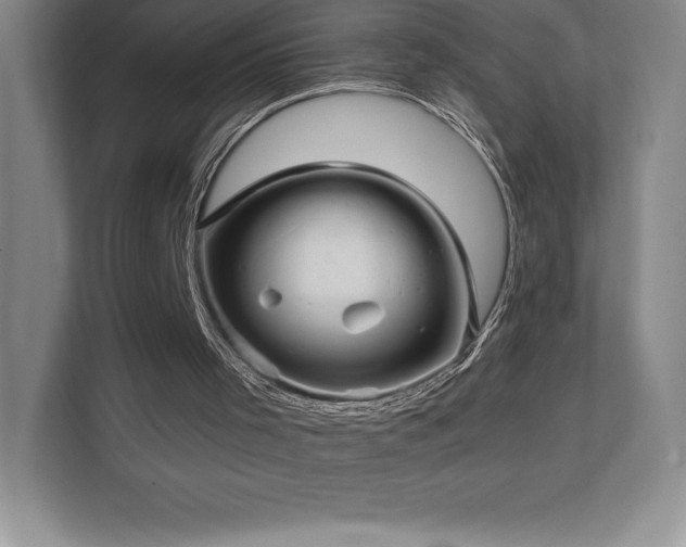 X0000111240001200907021420