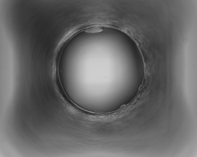 X0000111240005200907021420