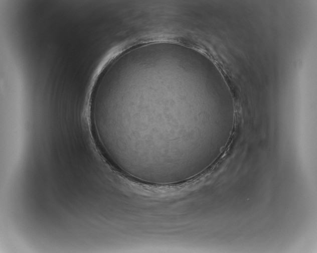 X0000111240006200907021420