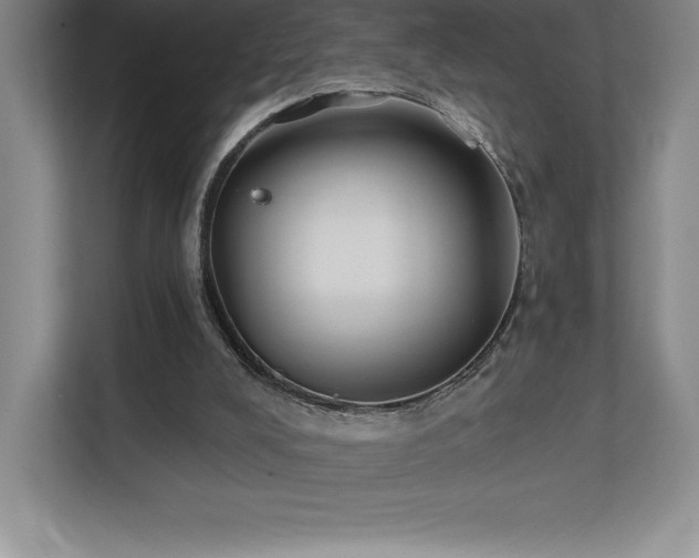 X0000111240008200907021420