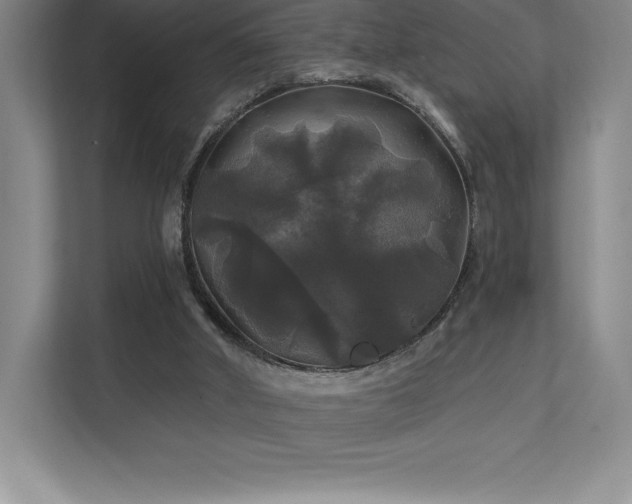 X0000111240010200907021420