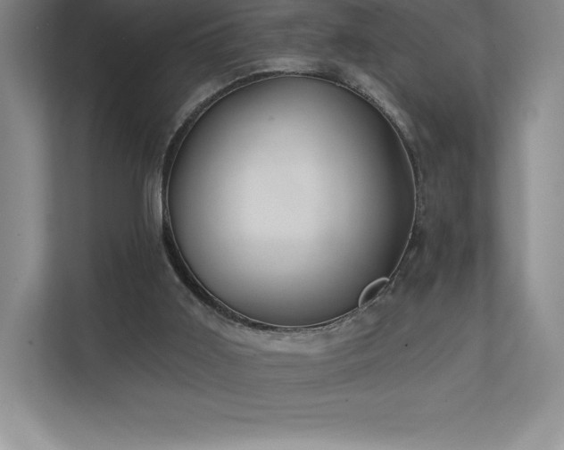 X0000111240011200907021420