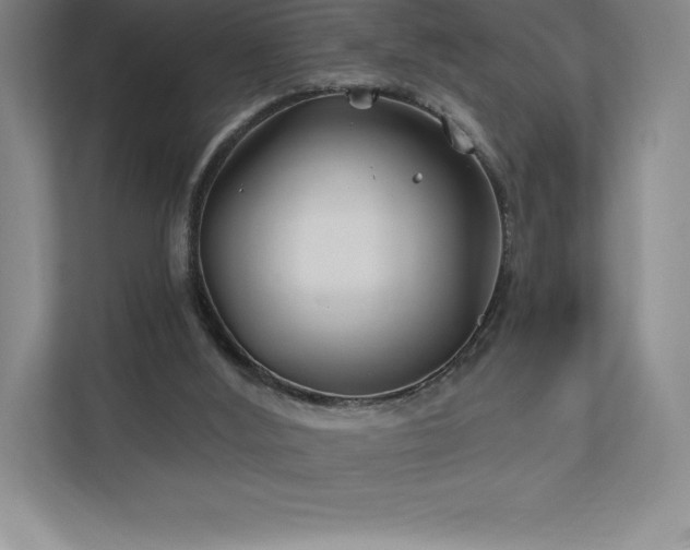 X0000111240012200907021420