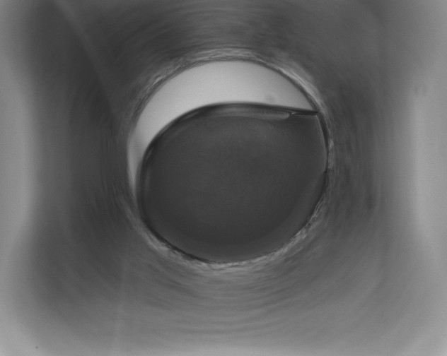 X0000111240013200907021420