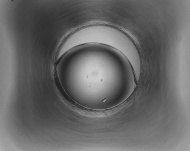 X0000111240015200907021420