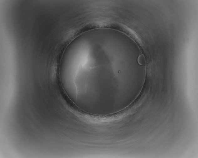 X0000111240018200907021420