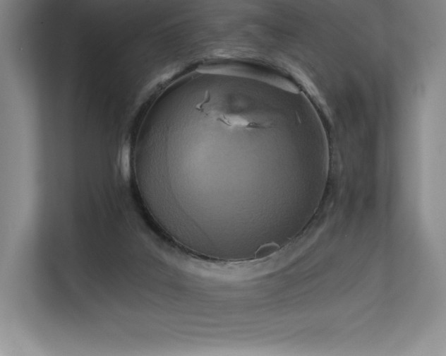 X0000111240019200907021420