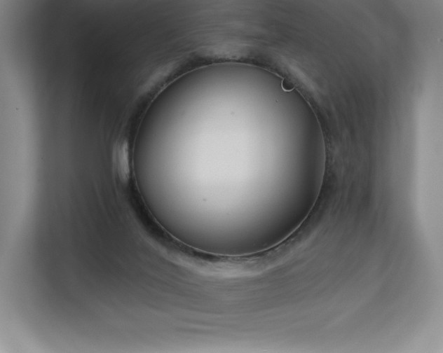 X0000111240020200907021420