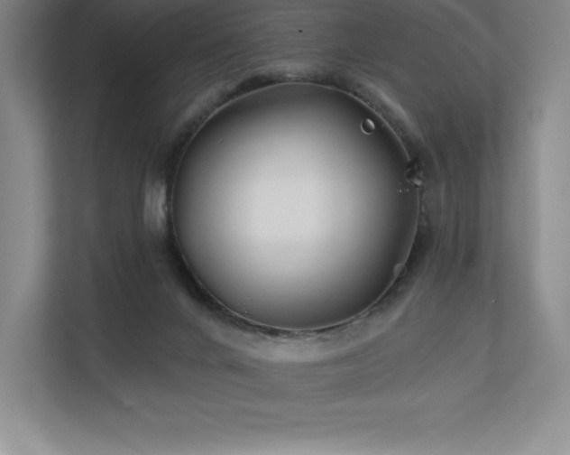 X0000111240024200907021420