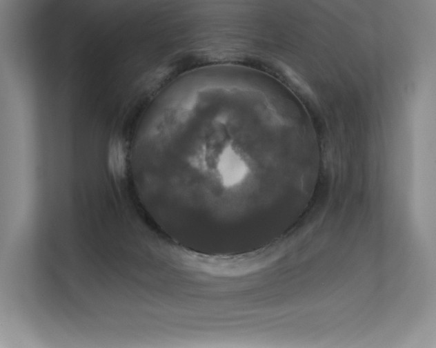 X0000111240026200907021420