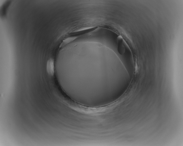 X0000111240027200907021420
