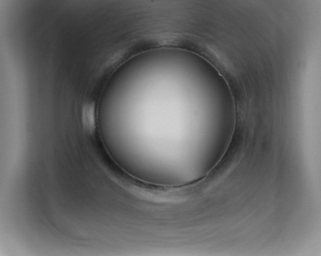 X0000111240028200907021420