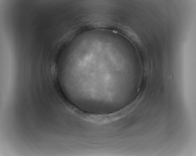 X0000111240029200907021420