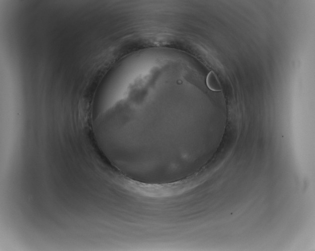 X0000111240030200907021420