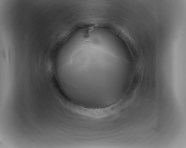 X0000111240031200907021420