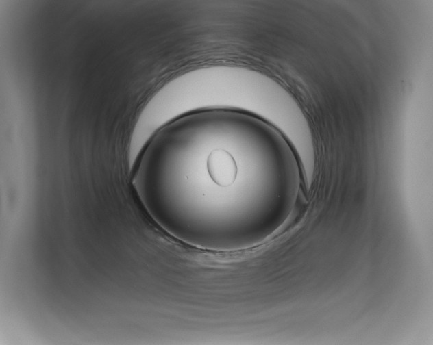 X0000111240033200907021420