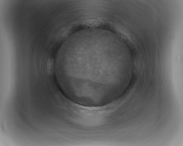 X0000111240034200907021420