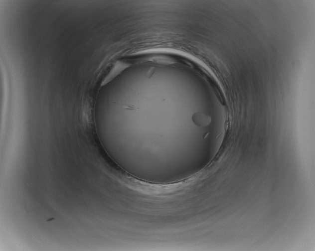 X0000111240035200907021420
