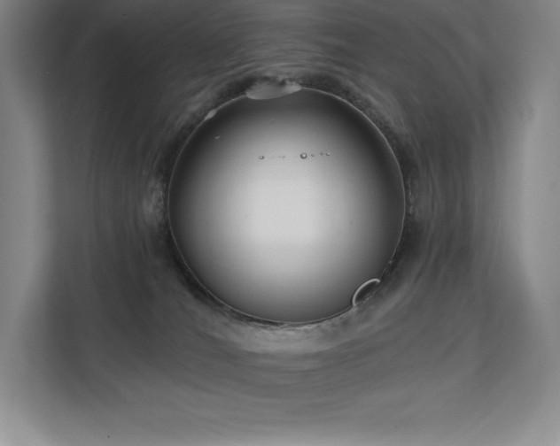 X0000111240036200907021420