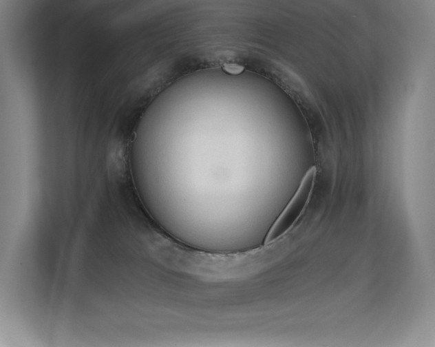 X0000111240037200907021420