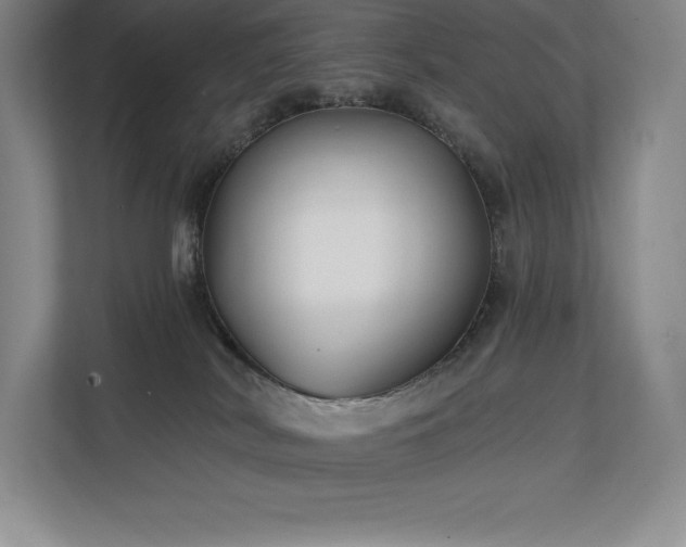 X0000111240038200907021420