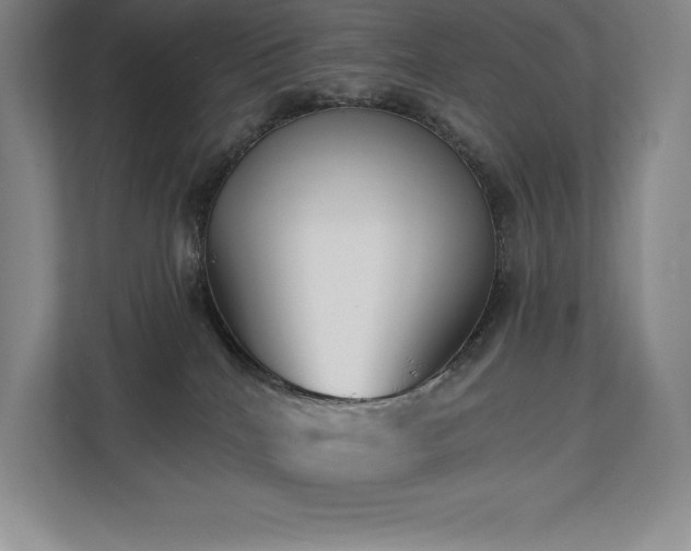 X0000111240040200907021420