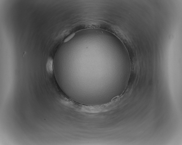 X0000111240041200907021420