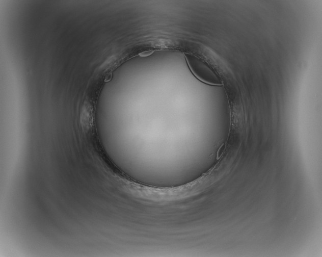 X0000111240043200907021420