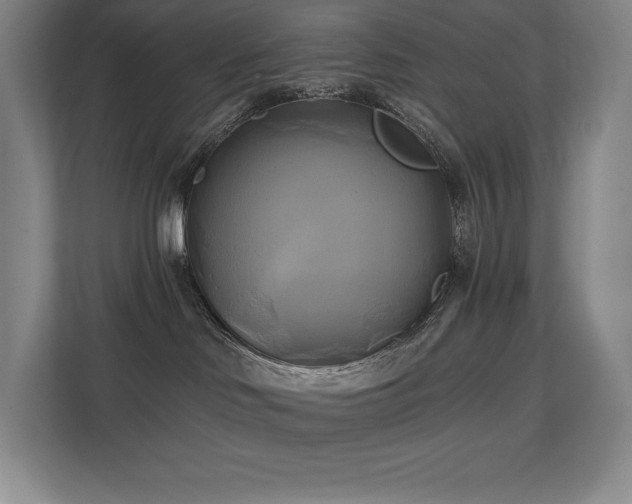 X0000111240046200907021420