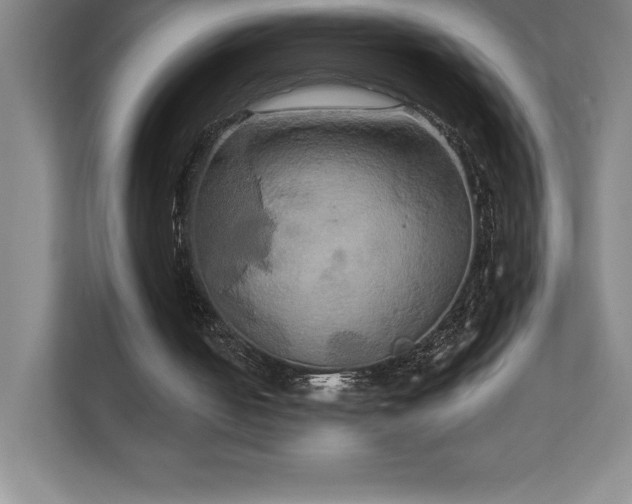 X0000111240050200907021419