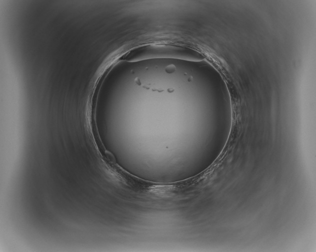 X0000111240051200907021419