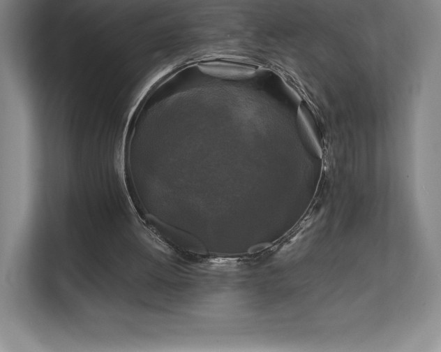 X0000111240052200907021419