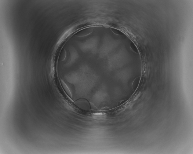 X0000111240053200907021419