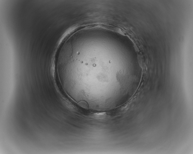 X0000111240054200907021419
