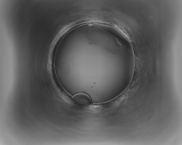 X0000111240055200907021419