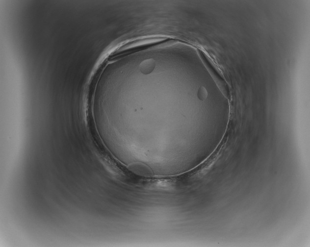 X0000111240056200907021419