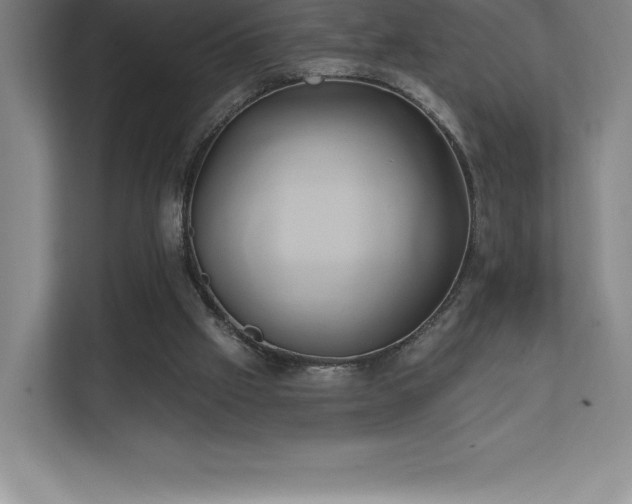 X0000111240057200907021419