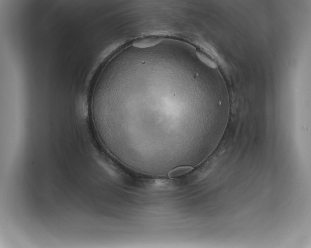 X0000111240060200907021419